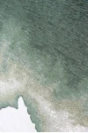 Килим Lagoon Palm Green
