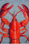 Килим Lobster Steam Red