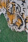 Килим Tiger Green On Fire