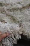 Кремав шаги килим Разкош