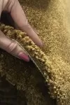 Мокет Гран сасо старо злато