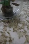 Винтидж килим Белла в бежово