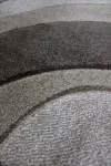 Кафяв килим Тренди на райета